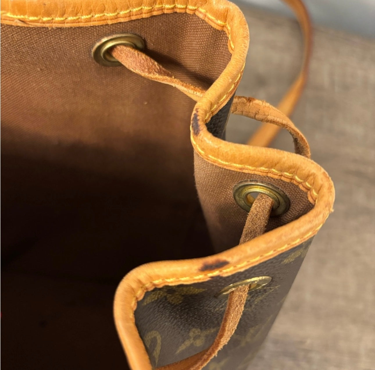 Louis Vuitton Montsouris PM Back pack