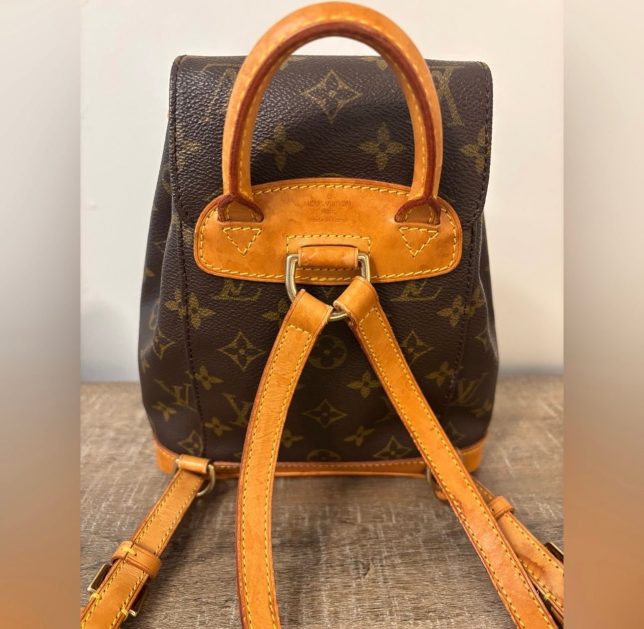 Louis Vuitton Montsouris PM Back pack