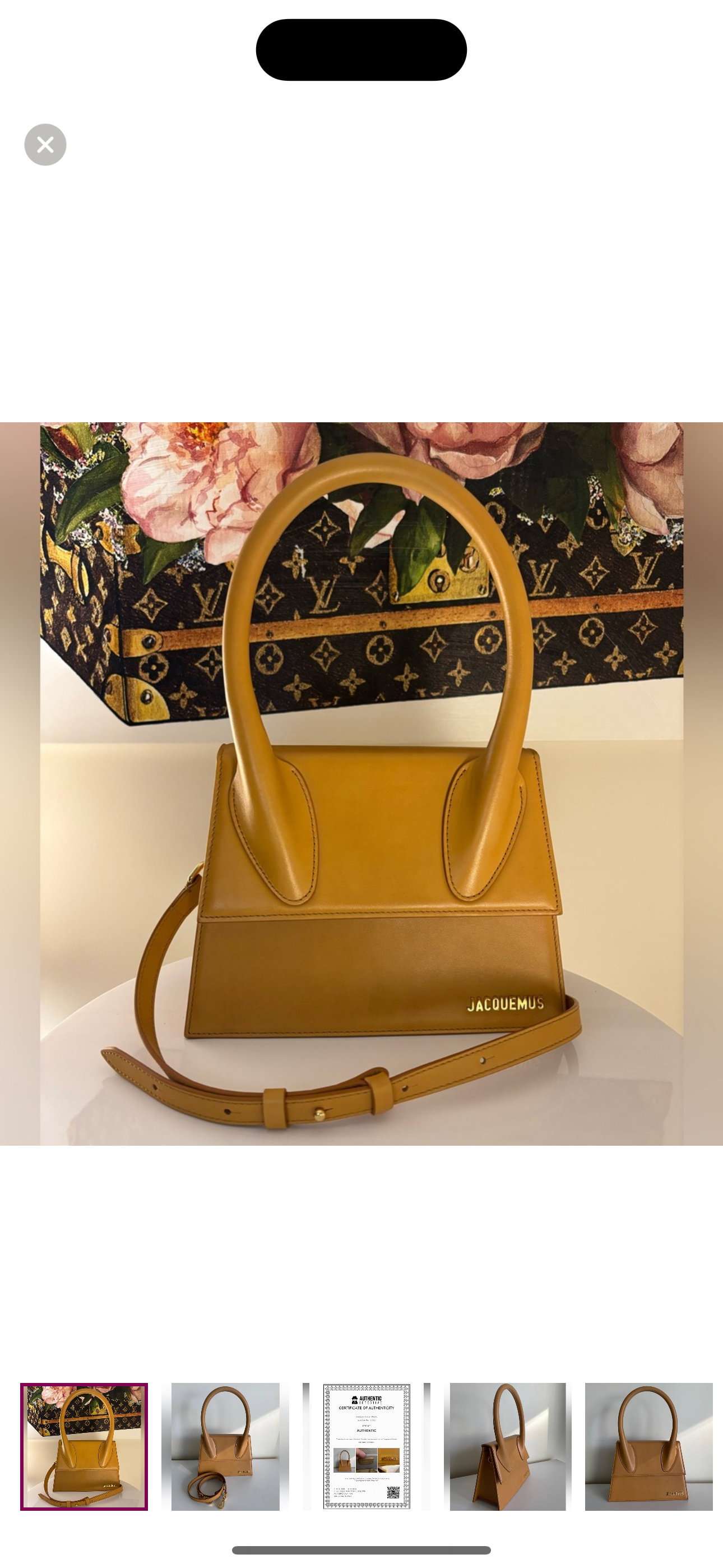 For Andrea - Jacquemus le grand chiquito