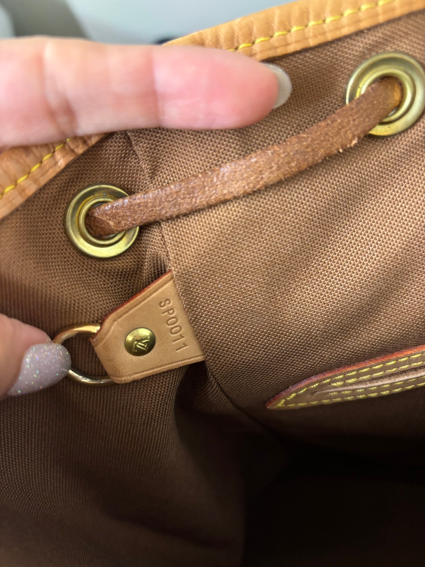 Louis Vuitton Montsouris MM Bakcpack