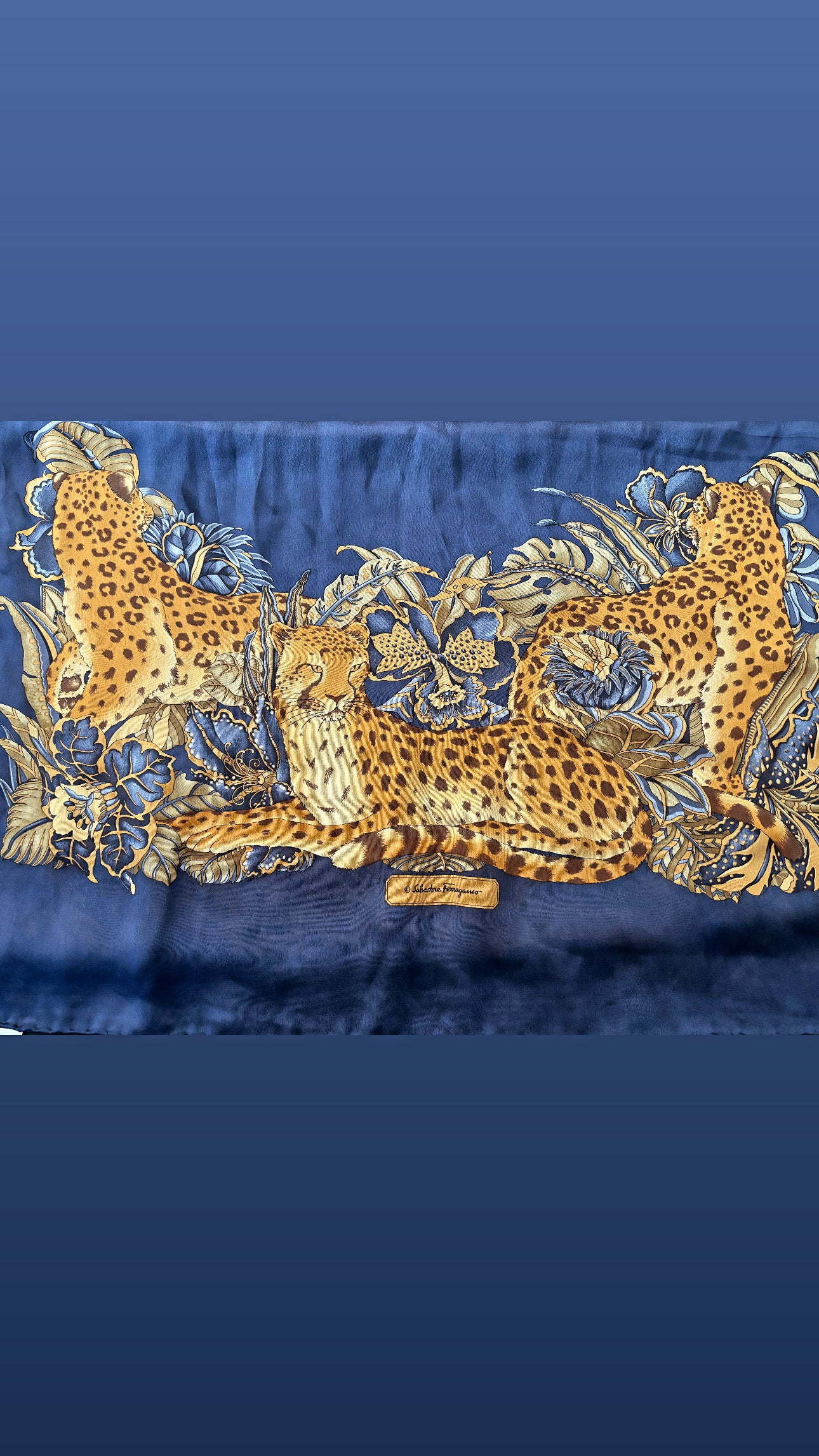 Salvatore Ferragamo Silk Scarf