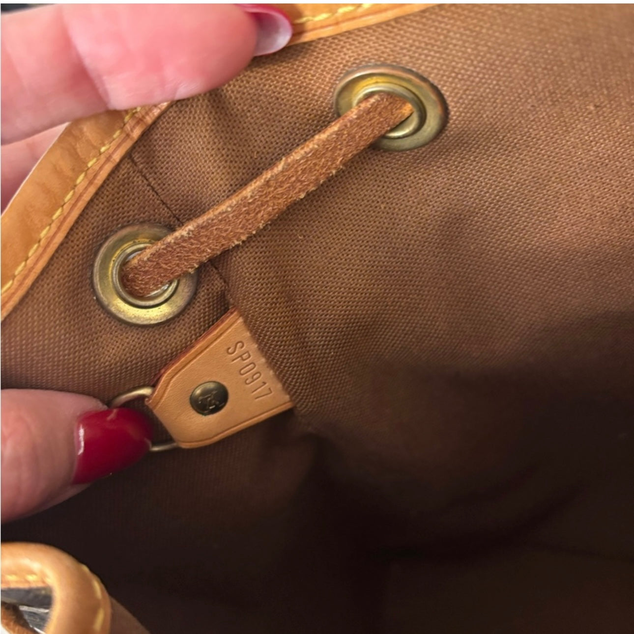 Louis Vuitton Montsouris PM Back pack