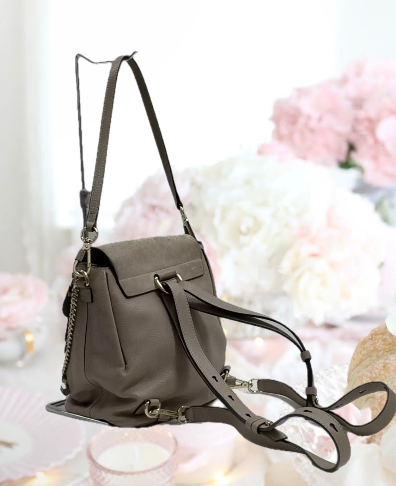Chloé Faye Two Shoulder Bag and Backpack