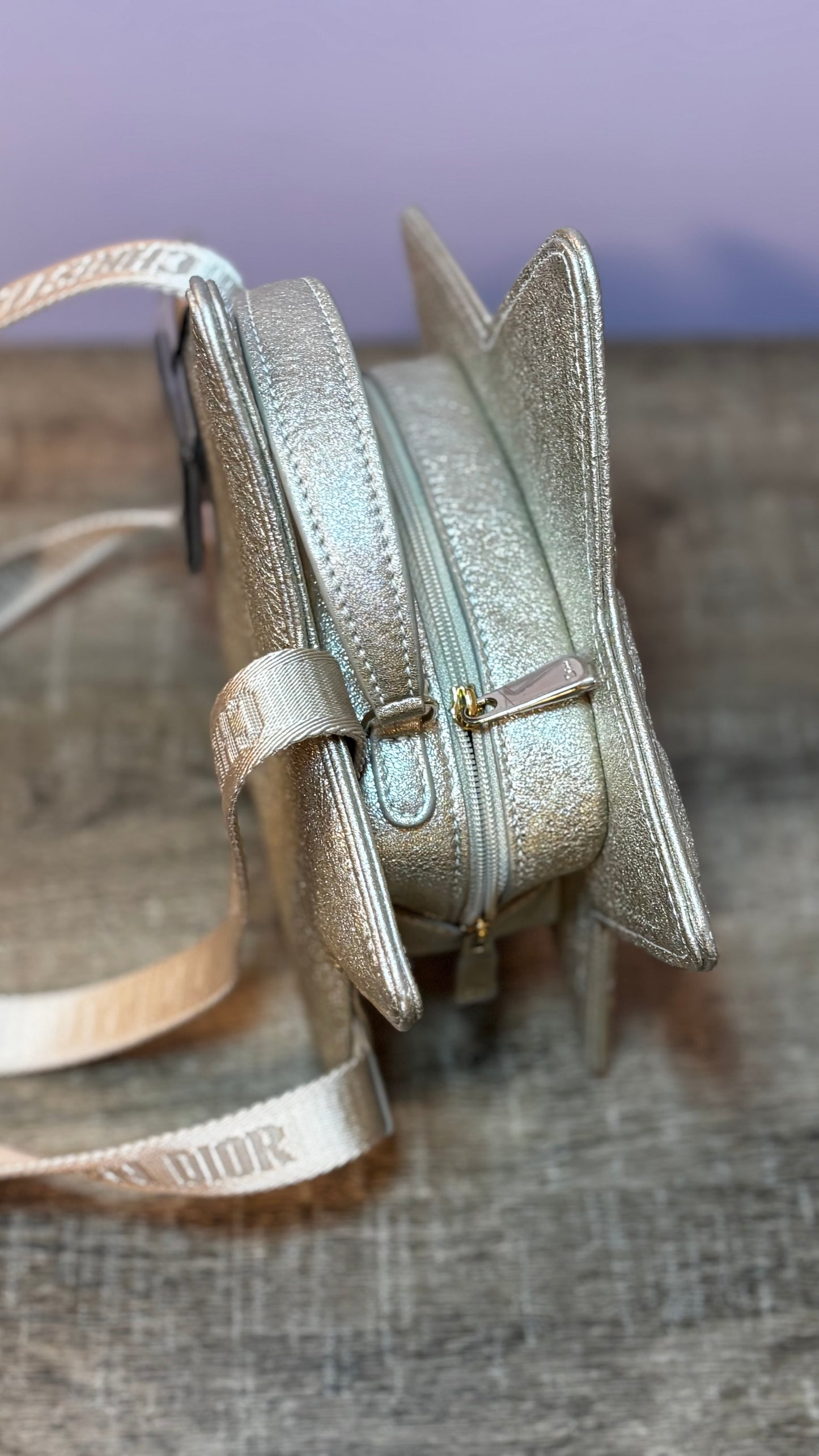 Dior Star Gold Lambskin Backpack