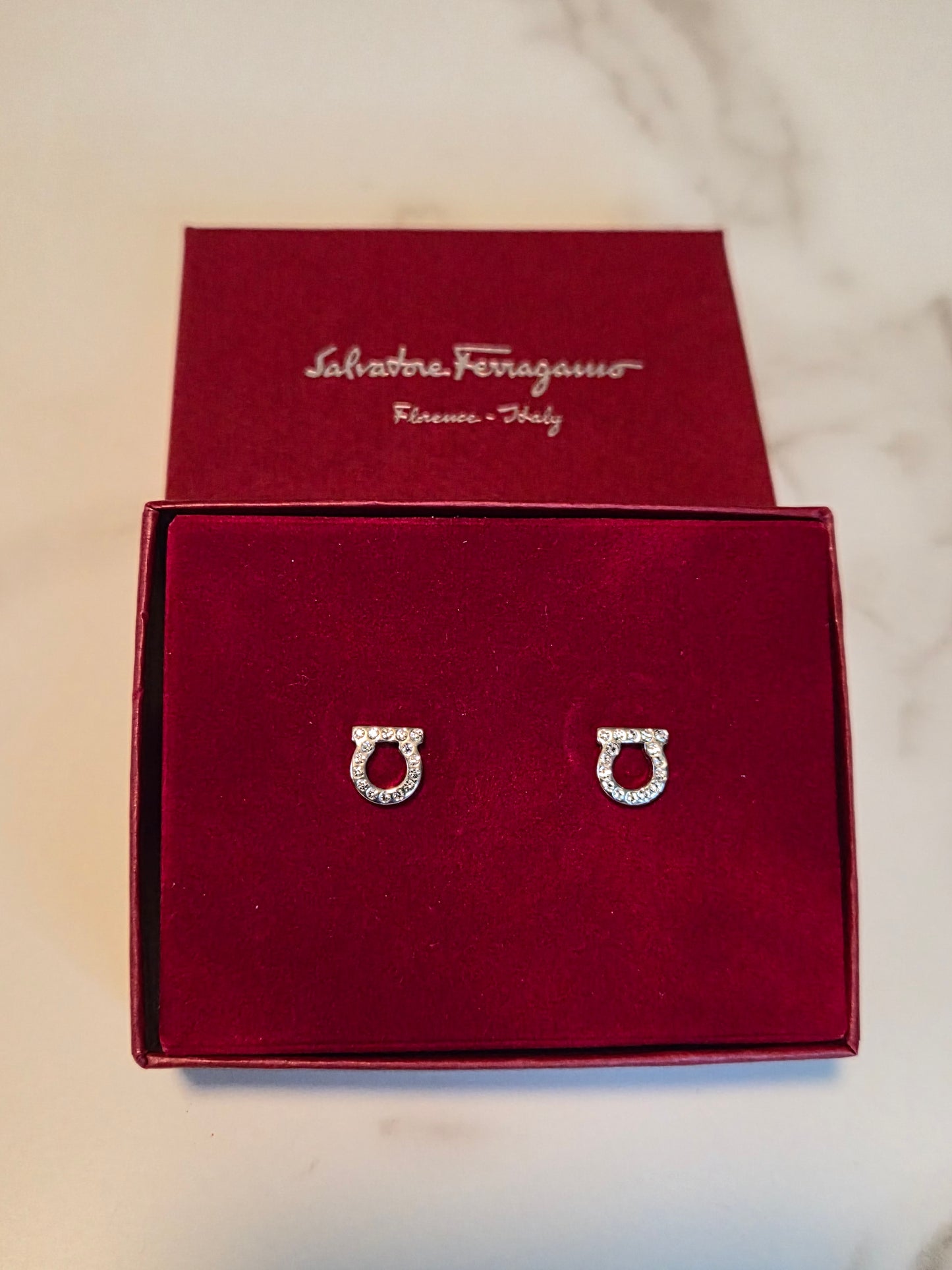 Ferragamo Earrings Pierced