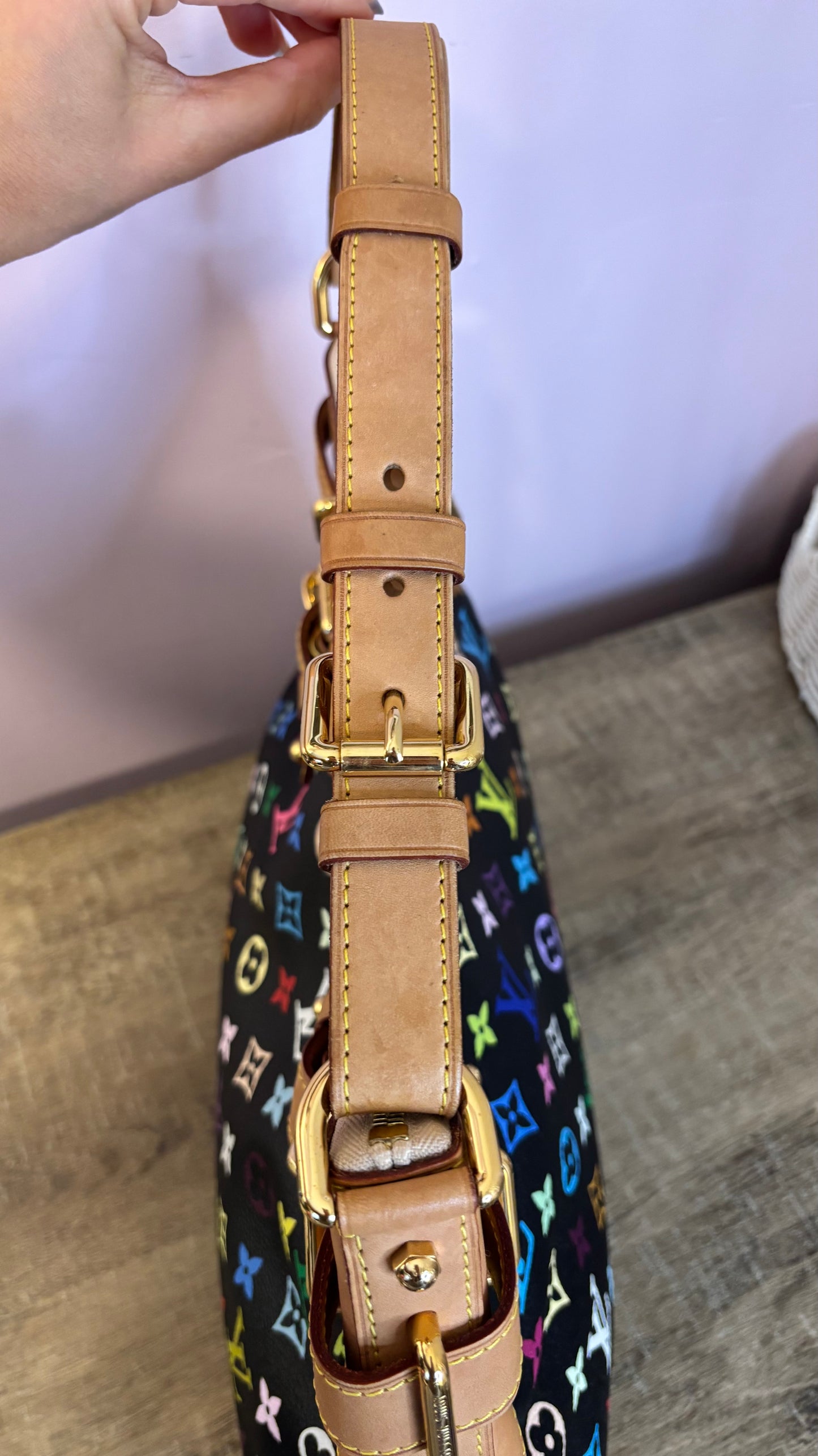 Louis Vuitton Greta Black Multicolor Shoulder Bag