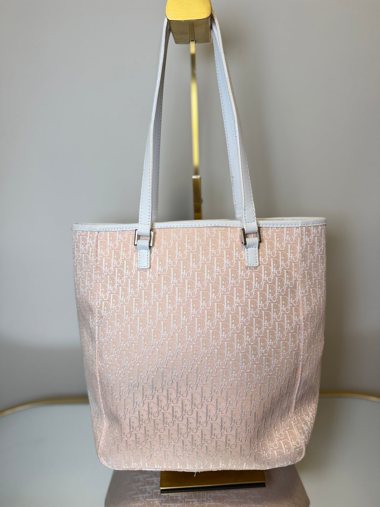Dior Pink Trotter Shoulder Bag