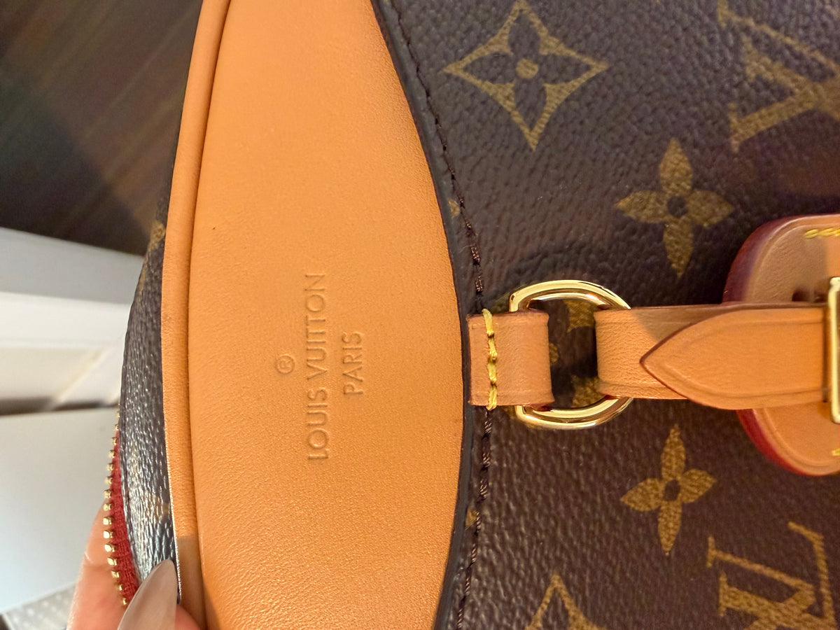 Louis Vuitton Deaville Mini Microchipped Crossbody Bag
