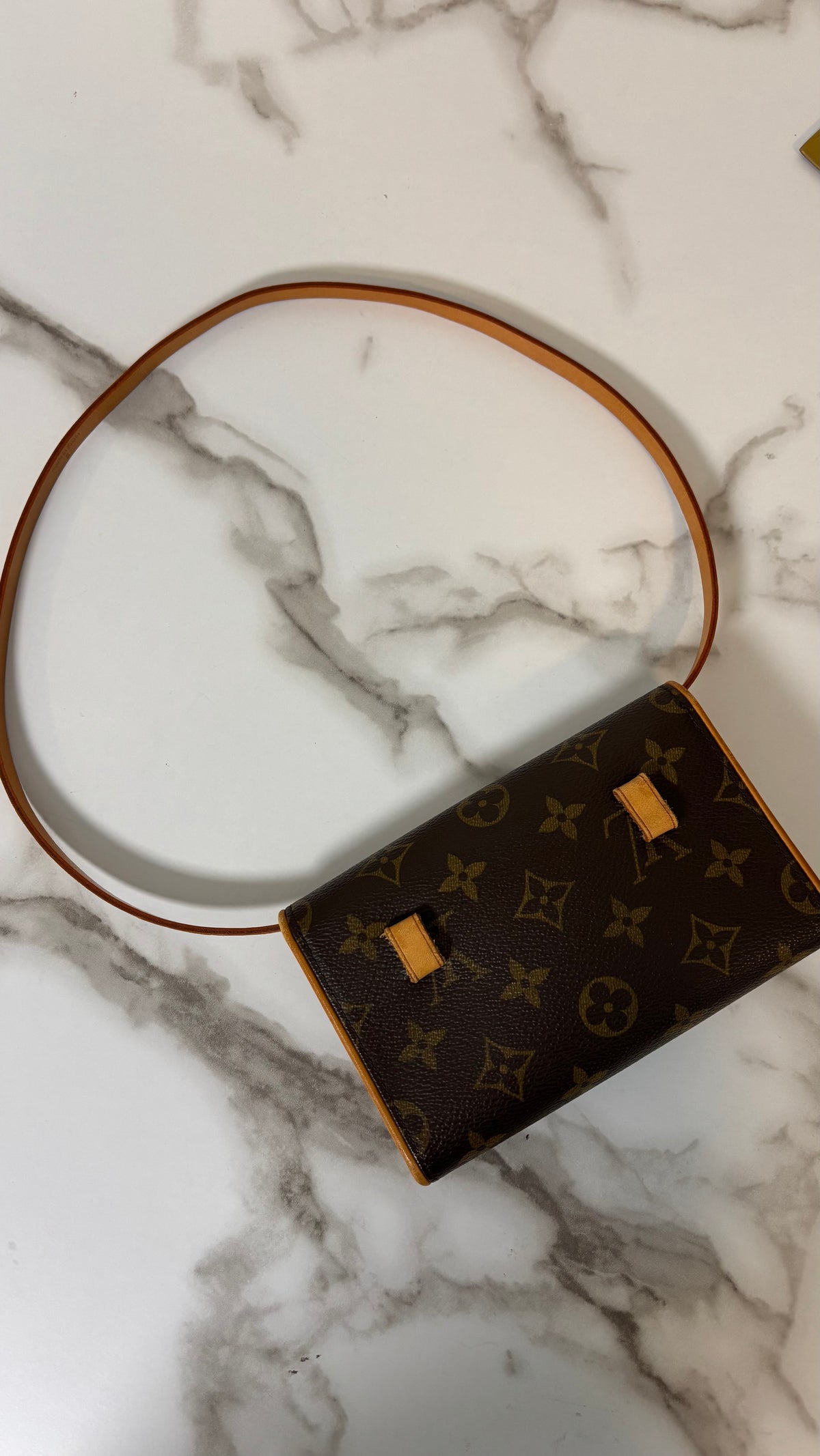 Louis Vuitton Pochette Florentine Monogram Bum Bag