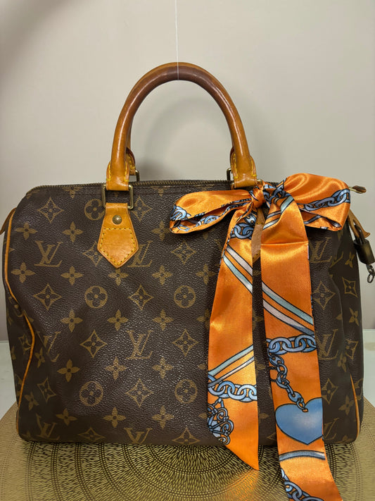 Louis Vuitton Speedy 30