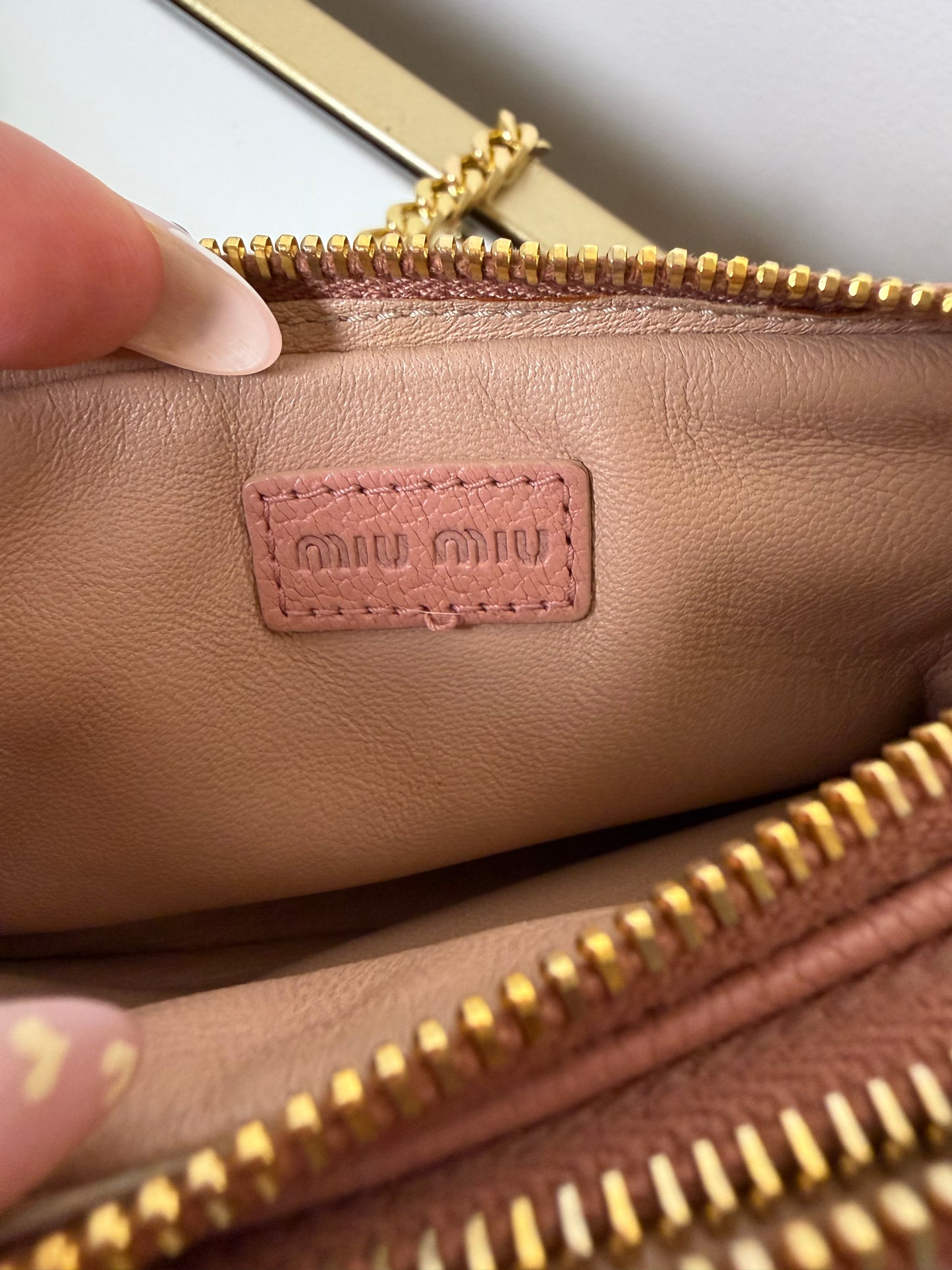 Miu Miu Mini Crossbody Pouch